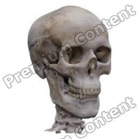 Skull Base 3D Scan